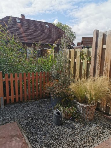 Teich und meehr - Garten